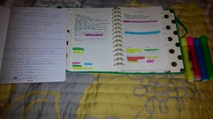 12540978_10205662359982777_4398055010352420363_n